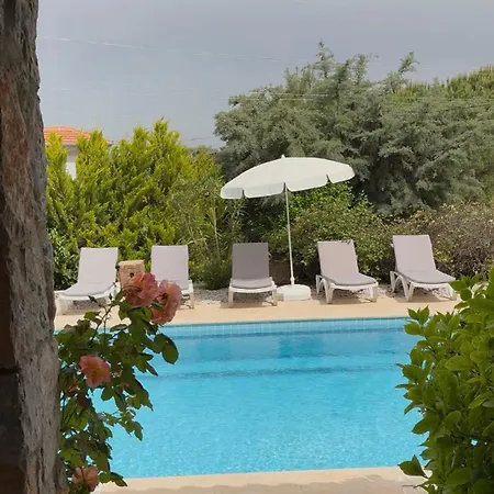 Xanthos 301